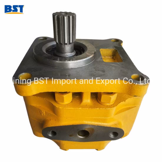 Escavatore bulldozer Shantui Caterpillar Cummins Weichai Isuzu Perkins idraulico/acqua/iniezione di carburante/olio/ingranaggi/funzionamento/sterzo/trasmissione/pompa a ingranaggi