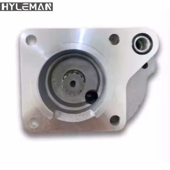 Pompa idraulica Rexroth/Pompa a pistone/Pompa a pressione/Pompa dell'olio/Pompa a palette/Pompa a ingranaggi/Pompa per escavatore per A2fo/A2FM/A4V/A6vm/A7vo/A10vso/A11V/PV7/Pg/A4fo